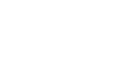 250+ erfolgreiche Projekte